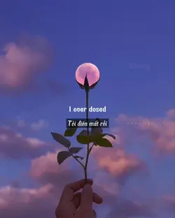 lyrics nhạc ngoại