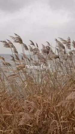 Spring day 🍂