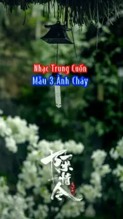 Nhạc Trung Xịn
