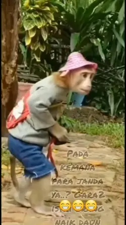 FUNPLAY|HIBURAN