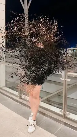 Particle Dissipate 