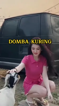DOMBA KURING 