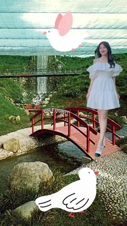 Scenary 