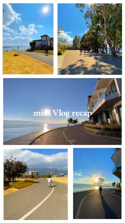 Grid Mini Vlog 