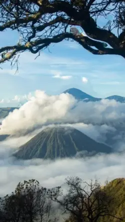 Drone effect viral