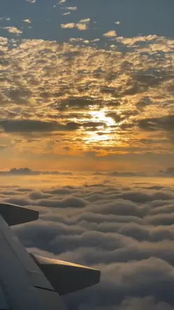 TRAVEL GOALS