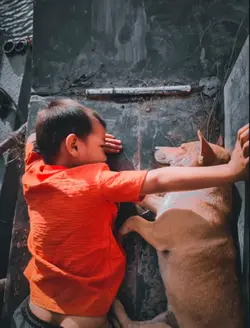 FB{ kiệt Tiger}
