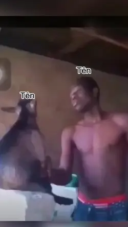 nhập tên siêu hài 