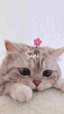 lirik 1 minit