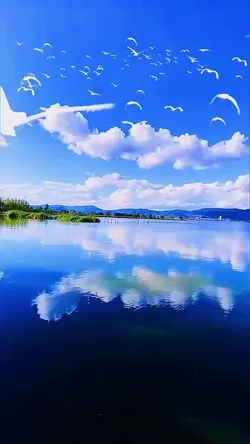 Happy life