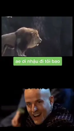 mauhaihuoc