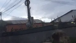 Thêm 1 video 