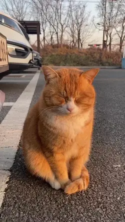 bobosiang