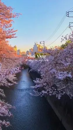 Mini Vlog