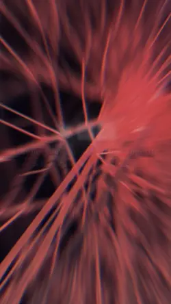 好きな音源💗