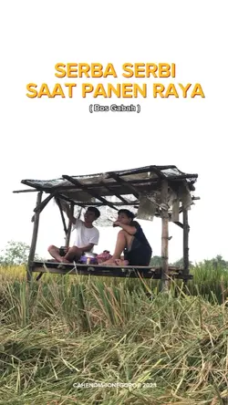 Cinematic sawah pane