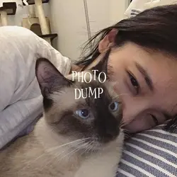 dump photo