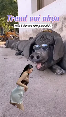 Trend vui nhộn
