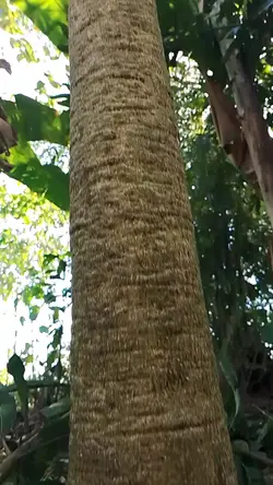 Time lapse 