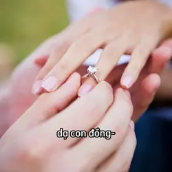 mẫu 1 ảnh