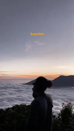 SNOWFALL