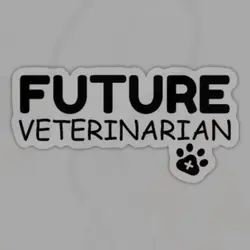 vet