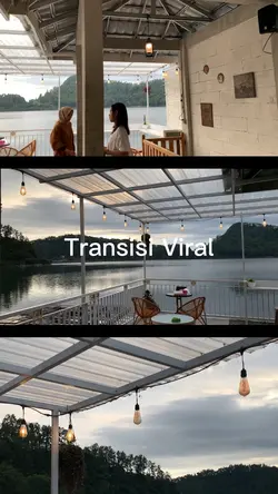 Transisi Viral 🔥