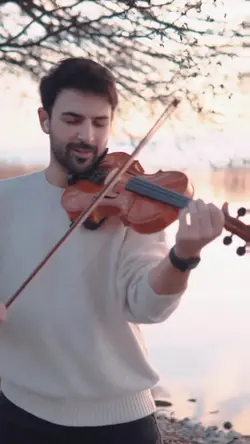 Violin