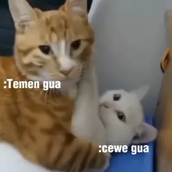 Kucing sad