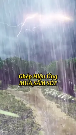 Ghép H.Ứng Mưa Bão