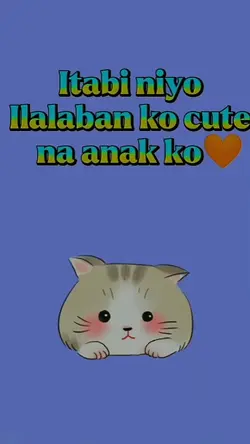 Tabi nyu baby nyo