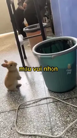 Mẩu vui nhộn