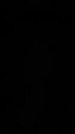 TikTok trend 