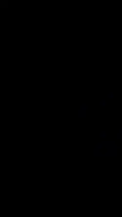 mẫu 4 video 
