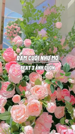 Đám Cưới Như Mơ