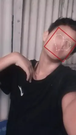 TikTok trends