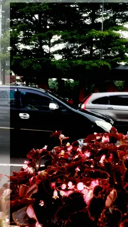tak mudah