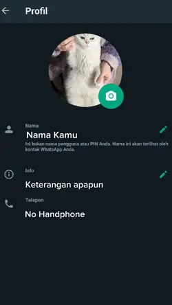 Video profil WA