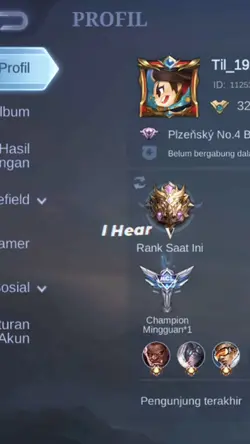 spil profil mlbbnya