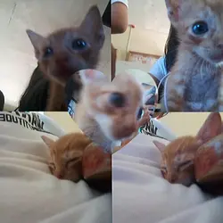 jefii <3