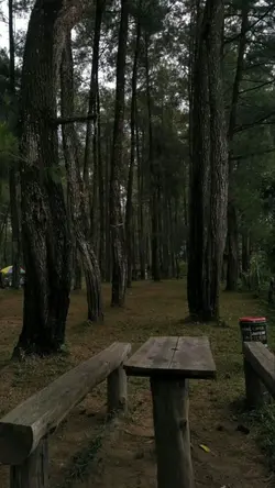 lirikkk lagiii