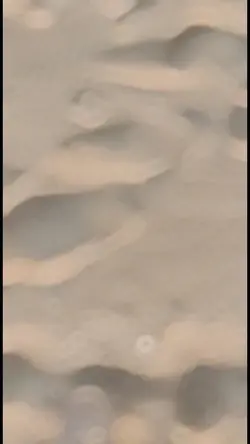 slowmo estetik