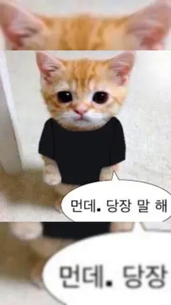 락스타's