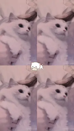 tách ảnh + màu
