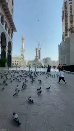 maher zain