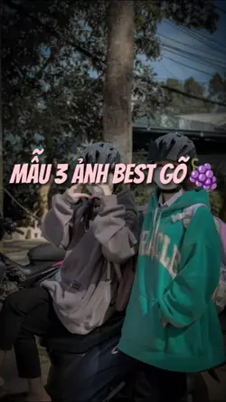 mẫu 3 ảnh best