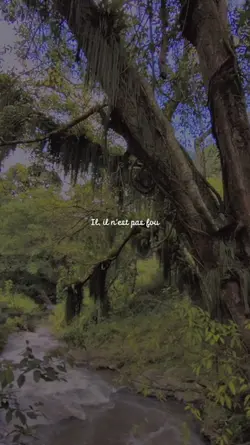 Indila - Love Story 
