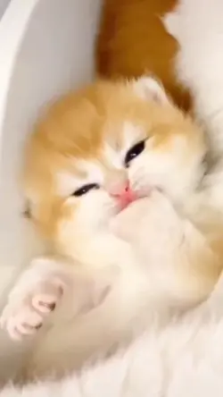kawaiii