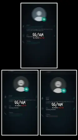 COLLAB BERTIGA WA