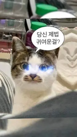 알로알로파로팛